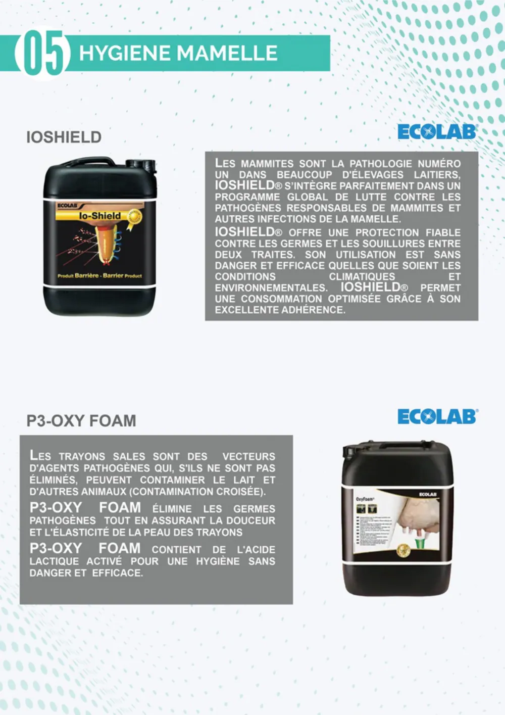 Page 31 du catalogue technique L2S.